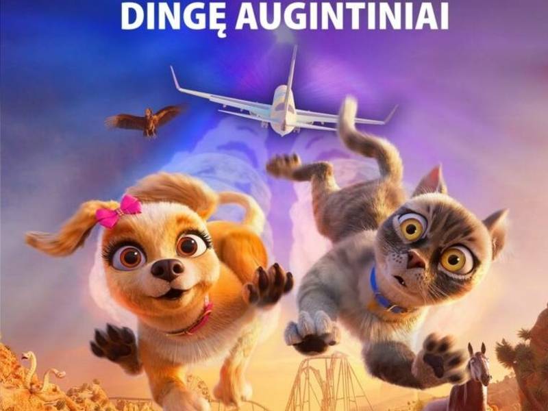 The Animated Movie Mischievous Paws: Missing Pets