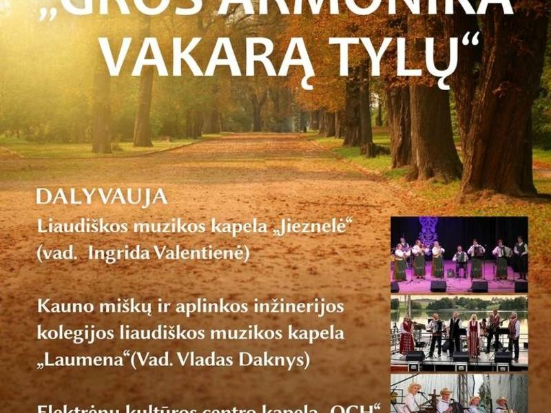 Festival of folk music bands "The harmonica will play in a quiet evening"