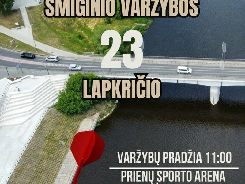 Reitinginės Lietuvos smiginio varžybos „Prienų taurė 2024“